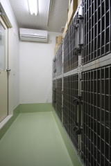 �P�[�W�A�y�b�g�z�e��