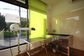 トリミングルーム